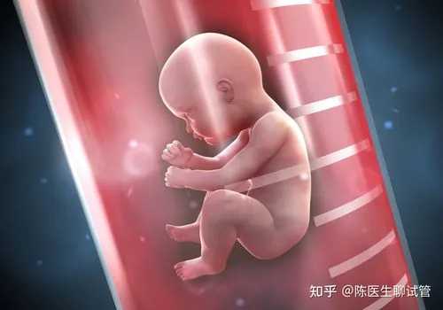 杭州试管代孕包成功,2023
北京供卵试管医院成功率排名出炉，上榜的私立机构也